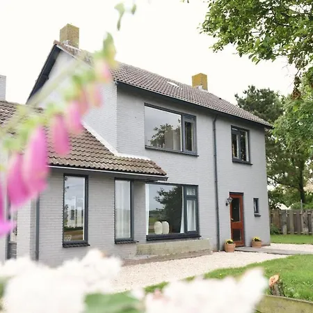 Zuidwester *